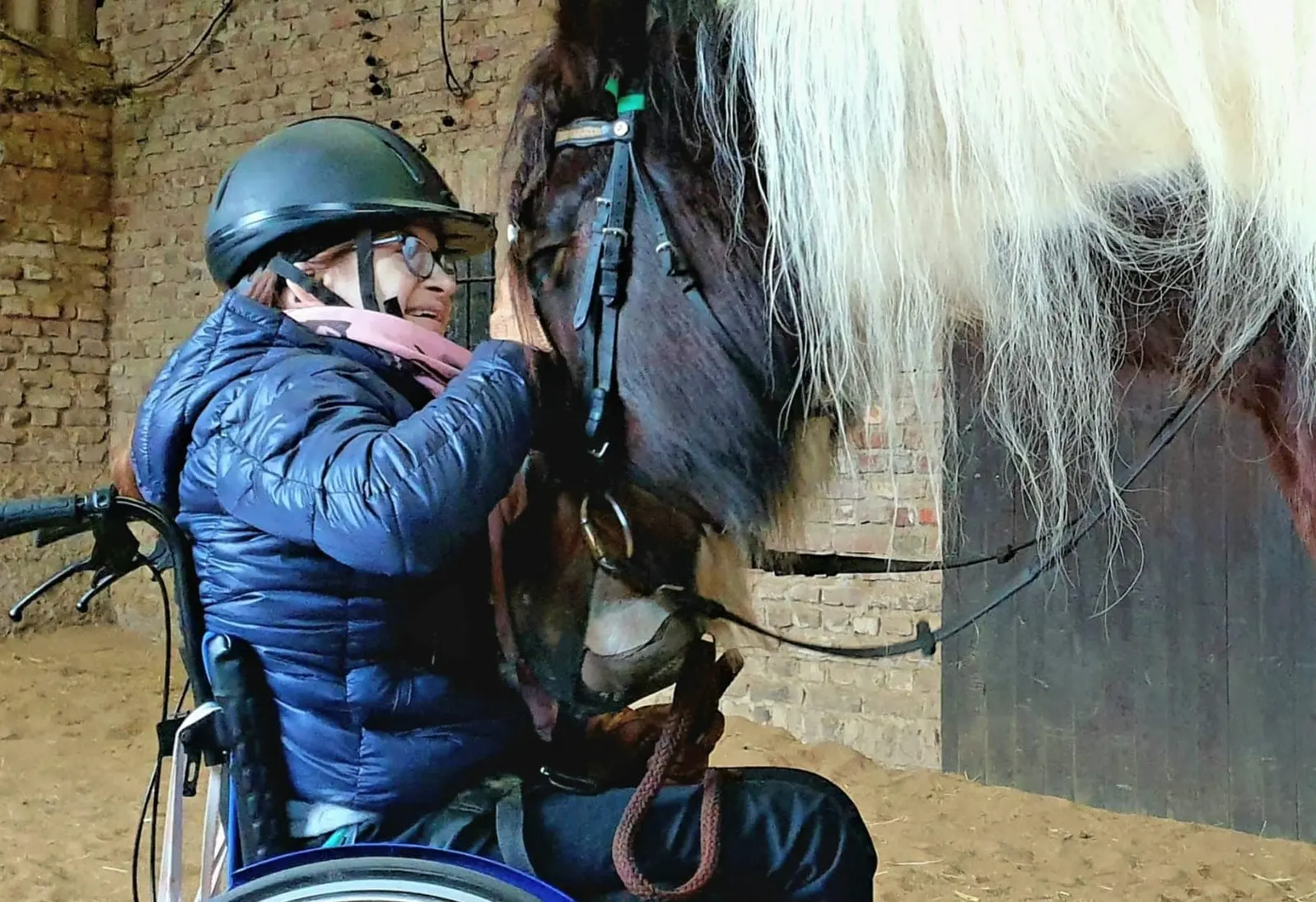 Rollstuhlfahrerin welche zutraulich ein Pferd streichelt während einer Reittherapie